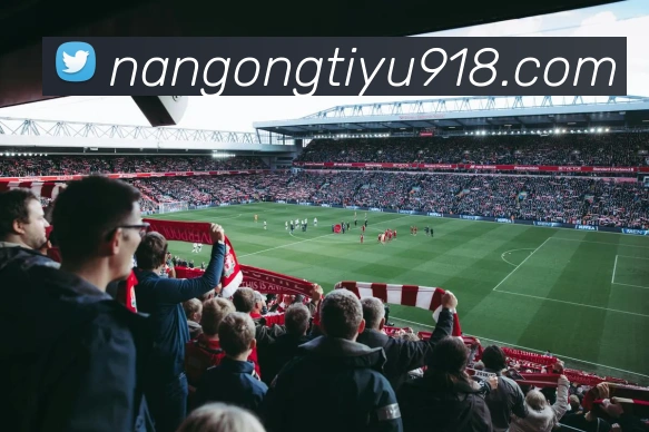 南宫体育发展历程